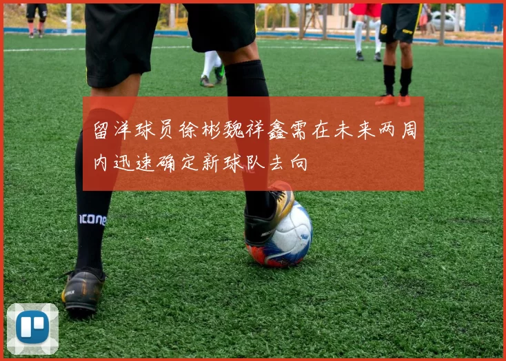 留洋球员徐彬魏祥鑫需在未来两周内迅速确定新球队去向
