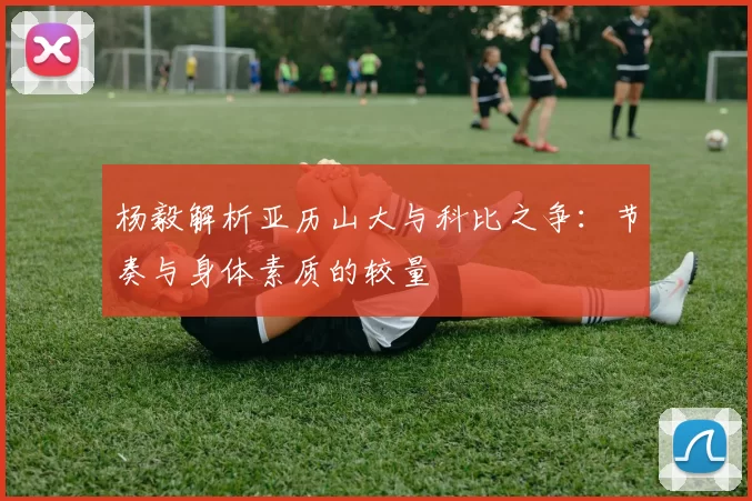 杨毅解析亚历山大与科比之争：节奏与身体素质的较量